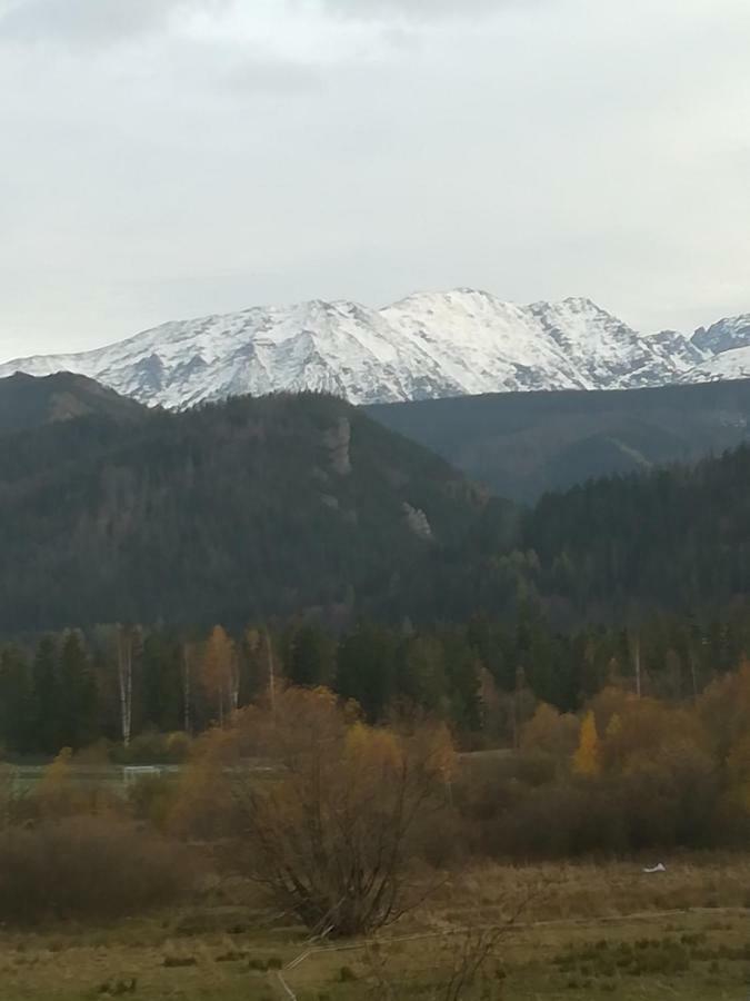 Willa U Stachoniow Zakopane Exteriör bild