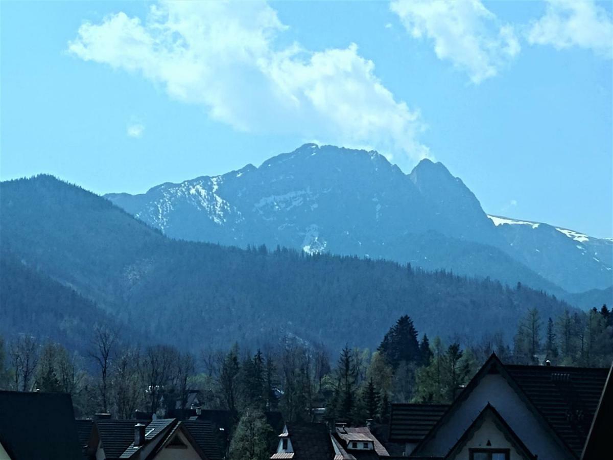 Willa U Stachoniow Zakopane Exteriör bild